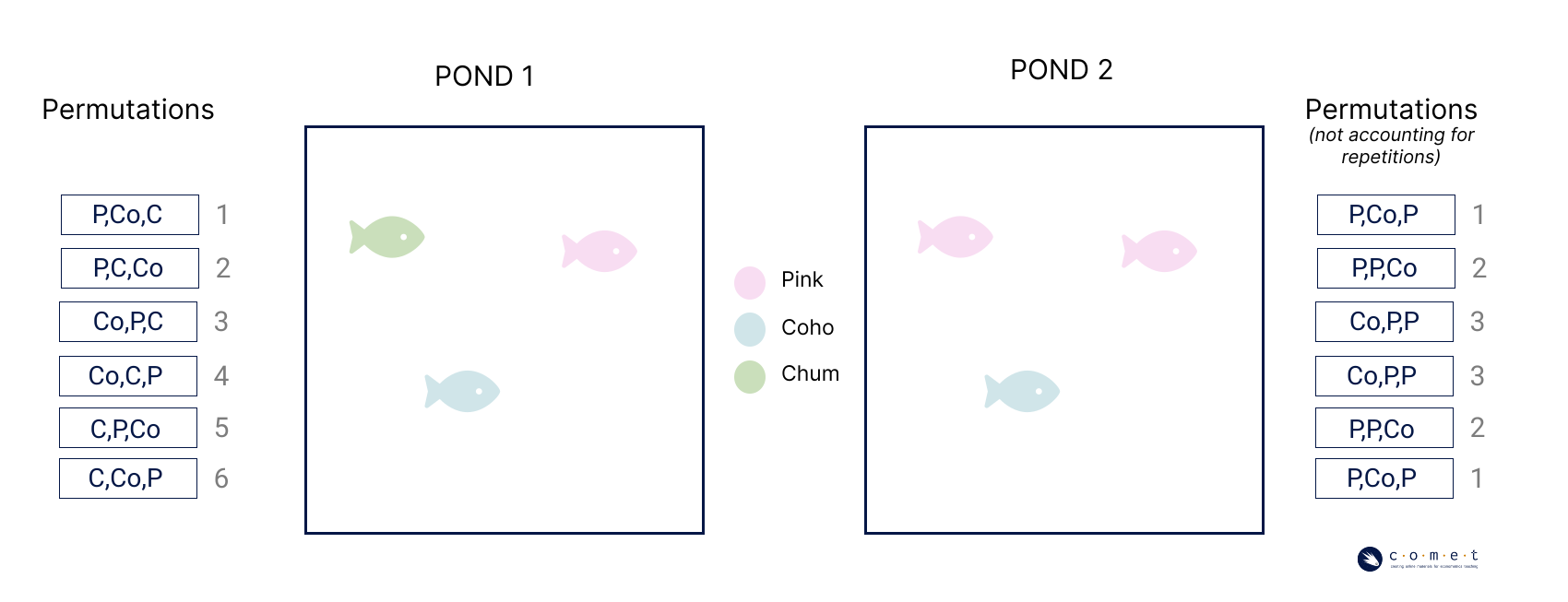 A visualization showing how the number of permutations was is reduced when a repeat of the element (two of the same salmon species) are introduced