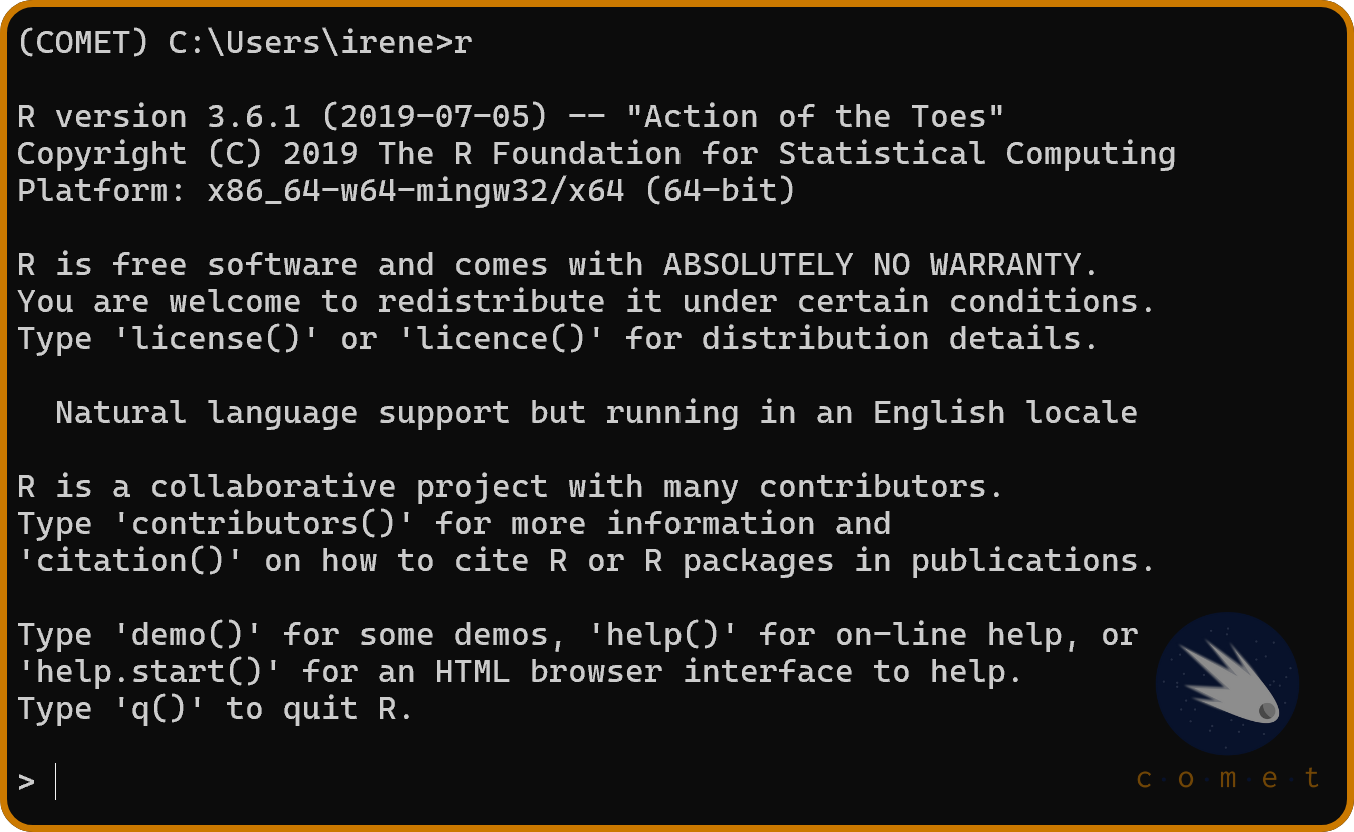 press `r` in the terminal to activate the r terminal.