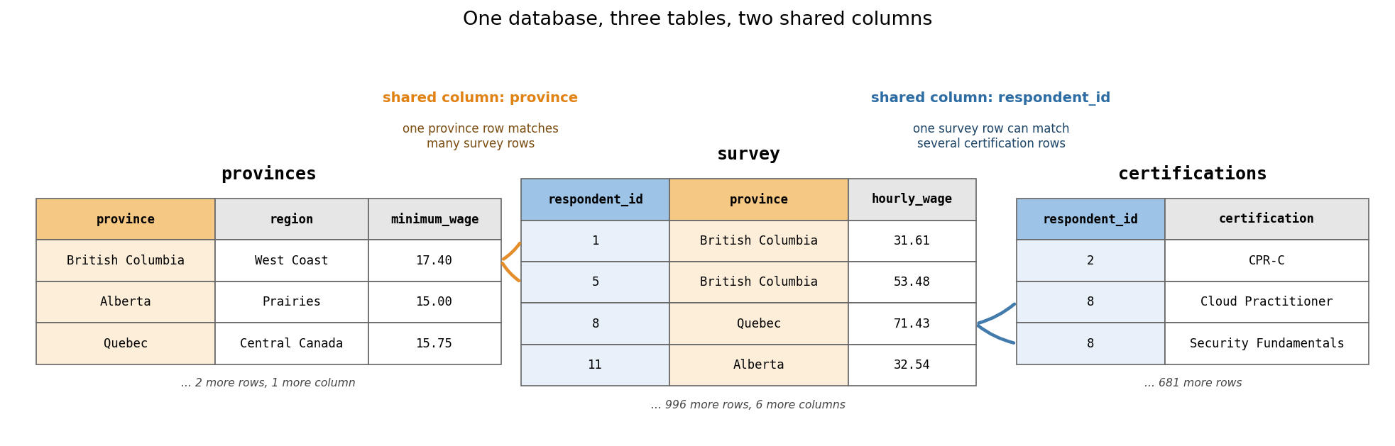 The survey sits in the middle, and its two shaded columns each point into another table. The arrows trace two example matches; every other row matches the same way.